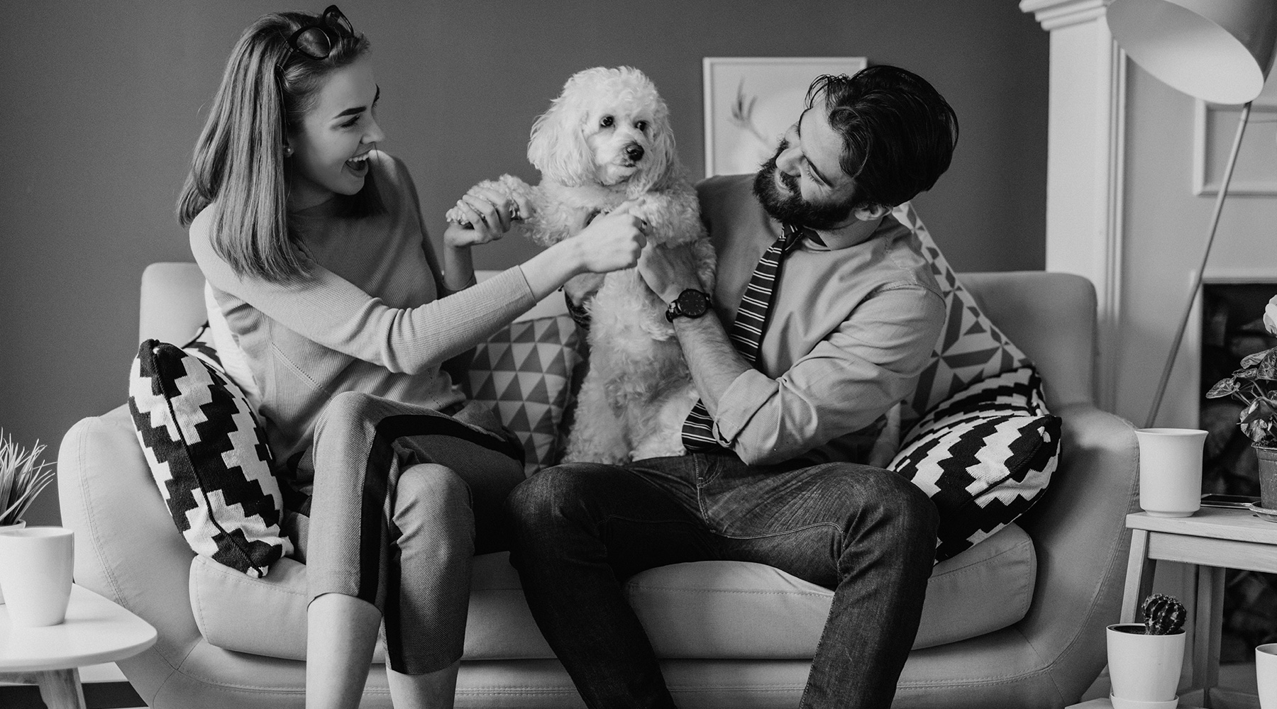 Azara couple playing with dog