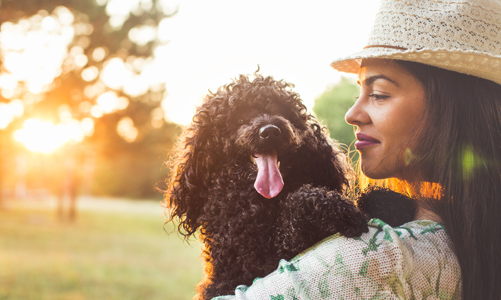 news-amenities-Girl-and-Dog