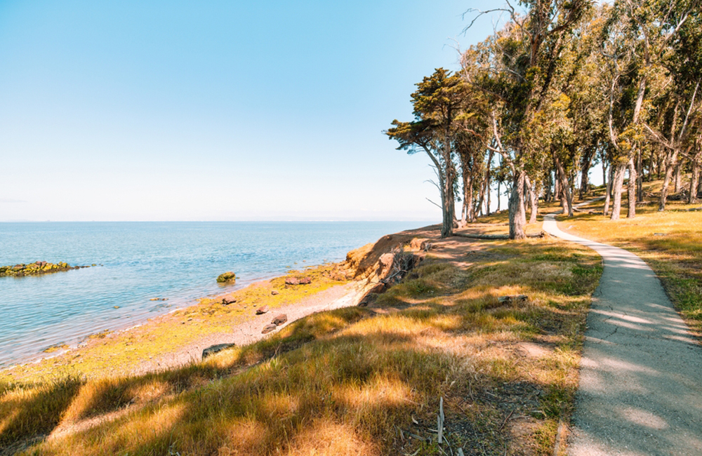 ocean and pathway